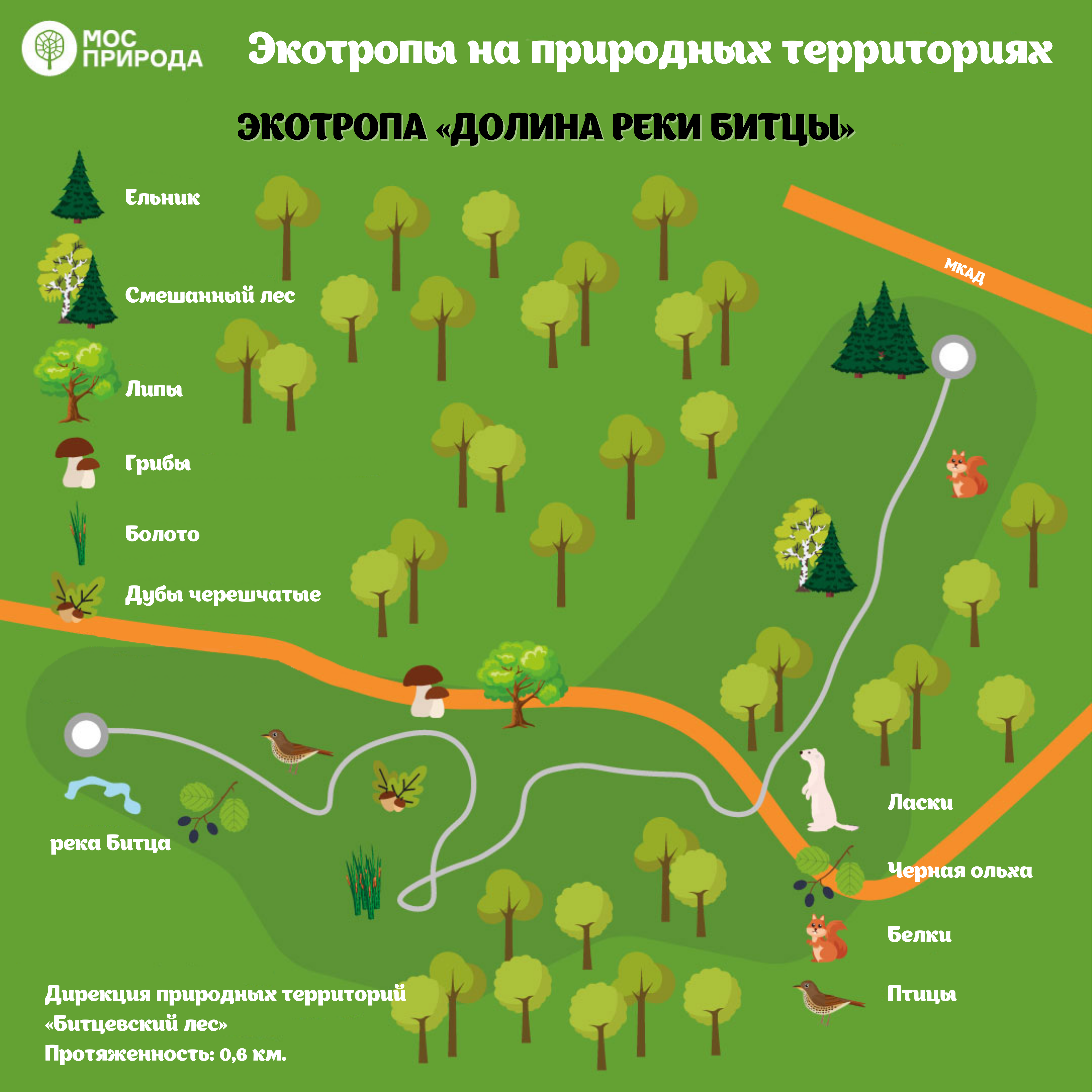 Где тропа. Экотропы в Битцевском парке. Историко-экологическая тропа парка Битцевский лес. Эко тропа Битцевский парк. Экологическая тропа в Битцевском лесу.